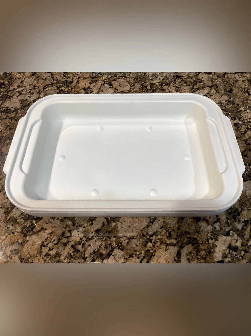 Aladdin Tempreserve Insulated 9 x 13 Casserole Carrier